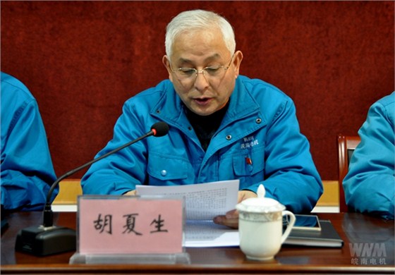 监事会主席胡夏生作监事会工作报告 监事会主席胡夏生作监事会工作报告