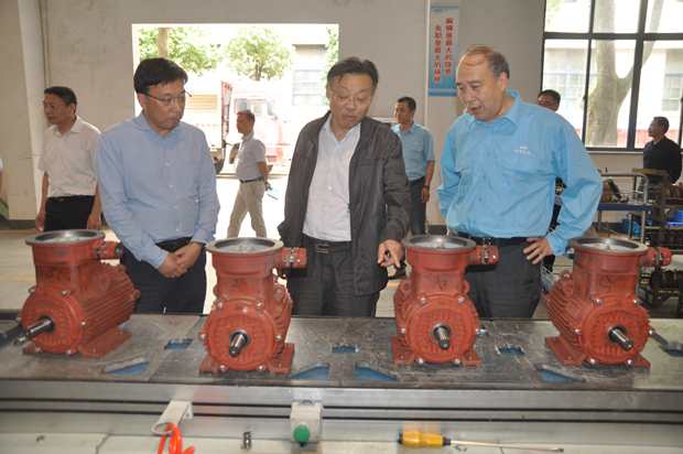 省自然资源厅副厅长潘海滨(中)在皖南电机车间调研 省自然资源厅副厅长潘海滨(中)在皖南电机车间调研